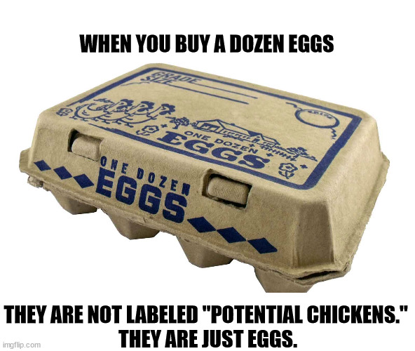 Eggs is eggs. | WHEN YOU BUY A DOZEN EGGS; THEY ARE NOT LABELED "POTENTIAL CHICKENS." 
THEY ARE JUST EGGS. | image tagged in eggs these are not frozen embryos or potential chickens,eggs,chickens,embryos,maga,insane | made w/ Imgflip meme maker