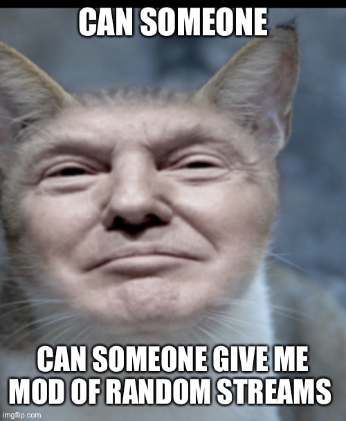 I want more | CAN SOMEONE; CAN SOMEONE GIVE ME MOD OF RANDOM STREAMS | image tagged in donald trump cat | made w/ Imgflip meme maker