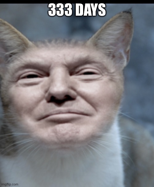 Double | 333 DAYS | image tagged in donald trump cat | made w/ Imgflip meme maker
