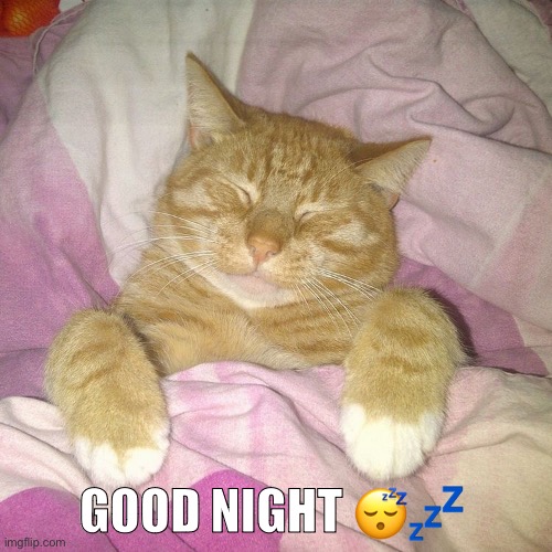 Eepy | GOOD NIGHT 😴💤 | image tagged in eepy | made w/ Imgflip meme maker