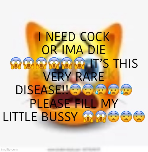 a | I NEED COCK OR IMA DIE 😱😱😱😱😱😱 IT’S THIS VERY RARE DISEASE!!😨😨😰😰😰 PLEASE FILL MY LITTLE BUSSY 😱😱😨😨😨 | image tagged in cat stock emoji scared | made w/ Imgflip meme maker