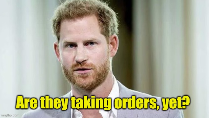 Prince Harry | Are they taking orders, yet? | image tagged in prince harry | made w/ Imgflip meme maker