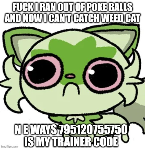 Wompity Womp | FUCK I RAN OUT OF POKE BALLS AND NOW I CAN'T CATCH WEED CAT; N E WAYS 795120755750 IS MY TRAINER CODE | image tagged in weed cat | made w/ Imgflip meme maker