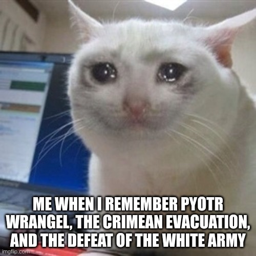 The saddest event in all of history in my opinion | ME WHEN I REMEMBER PYOTR WRANGEL, THE CRIMEAN EVACUATION, AND THE DEFEAT OF THE WHITE ARMY | image tagged in crying cat,russia | made w/ Imgflip meme maker