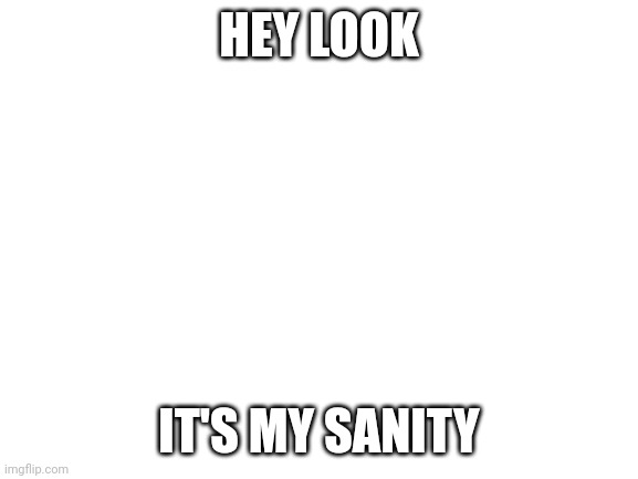 aaaaaa | HEY LOOK; IT'S MY SANITY | image tagged in blank white template | made w/ Imgflip meme maker