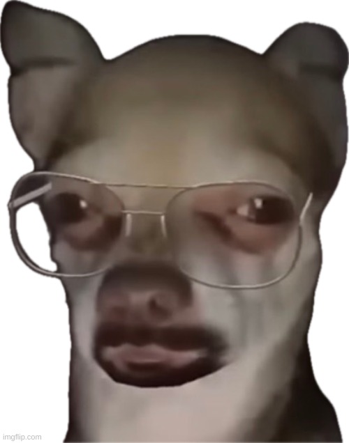 Waltuh dog | image tagged in waltuh dog | made w/ Imgflip meme maker