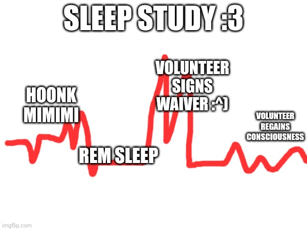 SLEEP STUDY :3; VOLUNTEER SIGNS WAIVER :^); HOONK MIMIMI; VOLUNTEER REGAINS CONSCIOUSNESS; REM SLEEP | made w/ Imgflip meme maker