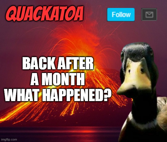 Quackatoa annoucement temp | BACK AFTER A MONTH WHAT HAPPENED? | image tagged in quackatoa annoucement temp | made w/ Imgflip meme maker