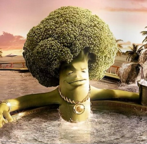 what is this lol | image tagged in memes,funny,msmg | made w/ Imgflip meme maker