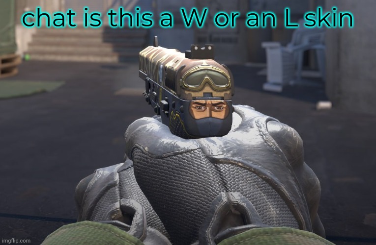 cost me around like 60 cents | chat is this a W or an L skin | made w/ Imgflip meme maker