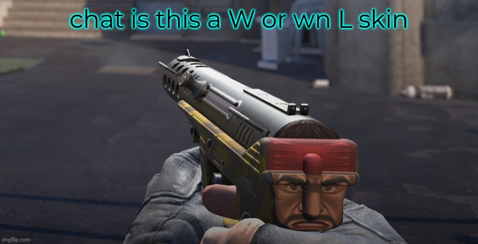 cost me half teh price of the other one | chat is this a W or an L skin | made w/ Imgflip meme maker