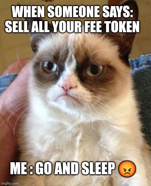 Grumpy Cat | WHEN SOMEONE SAYS: SELL ALL YOUR FEE TOKEN; ME : GO AND SLEEP 😡 | image tagged in memes,grumpy cat | made w/ Imgflip meme maker
