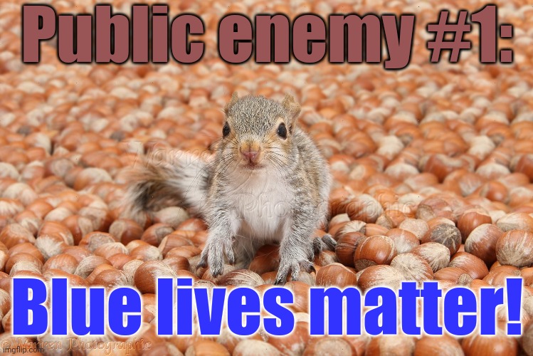 Species profiling. | Public enemy #1:; Blue lives matter! | image tagged in nutty,hes to dangerous to be kept alive meme,police shooting,cops and donuts,special officer doofy | made w/ Imgflip meme maker
