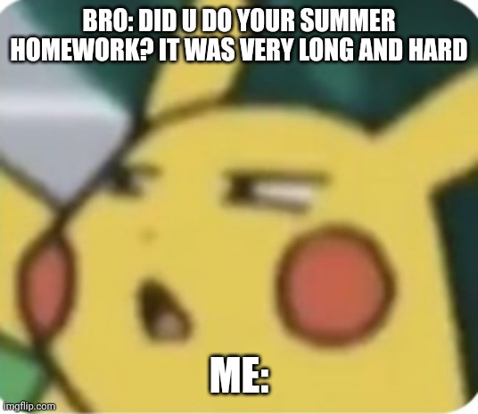 ??? | BRO: DID U DO YOUR SUMMER HOMEWORK? IT WAS VERY LONG AND HARD; ME: | image tagged in confused pikachu | made w/ Imgflip meme maker