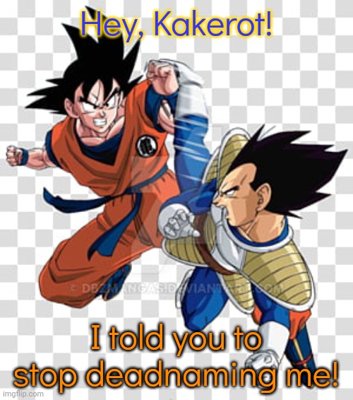 Those are fighting words! | Hey, Kakerot! I told you to stop deadnaming me! | image tagged in goku vegeta fight,microaggression,transphobic,jerk | made w/ Imgflip meme maker