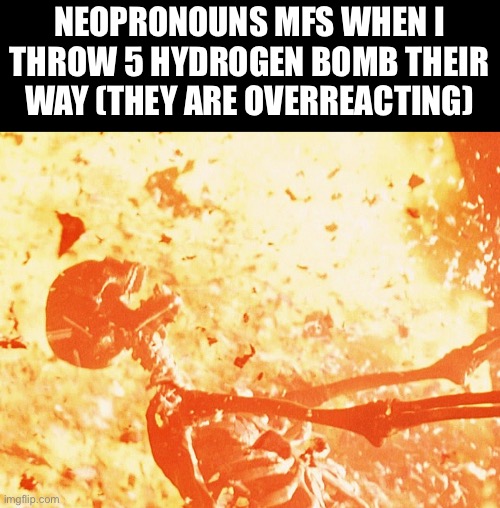 Fire skeleton | NEOPRONOUNS MFS WHEN I THROW 5 HYDROGEN BOMB THEIR WAY (THEY ARE OVERREACTING) | image tagged in fire skeleton | made w/ Imgflip meme maker