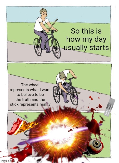 Who put a grenade in my precieved reality..oh wait I, did.. | image tagged in bike fall,fml,do you want to explode | made w/ Imgflip meme maker