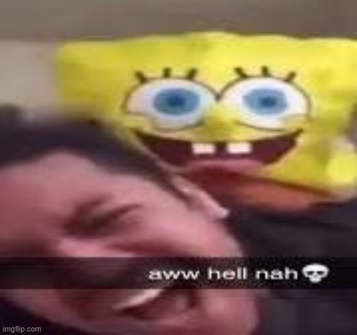 1 sponge, 1 girl | image tagged in memes,funny,spongebob | made w/ Imgflip meme maker