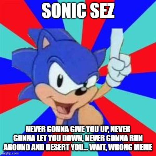 Sonic Sez | SONIC SEZ; NEVER GONNA GIVE YOU UP, NEVER GONNA LET YOU DOWN, NEVER GONNA RUN AROUND AND DESERT YOU... WAIT, WRONG MEME | image tagged in sonic sez | made w/ Imgflip meme maker