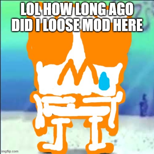 Zad SponchGoob | LOL HOW LONG AGO DID I LOOSE MOD HERE | image tagged in zad sponchgoob | made w/ Imgflip meme maker