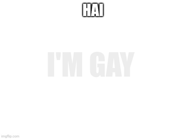 HAI I'M GAY | made w/ Imgflip meme maker