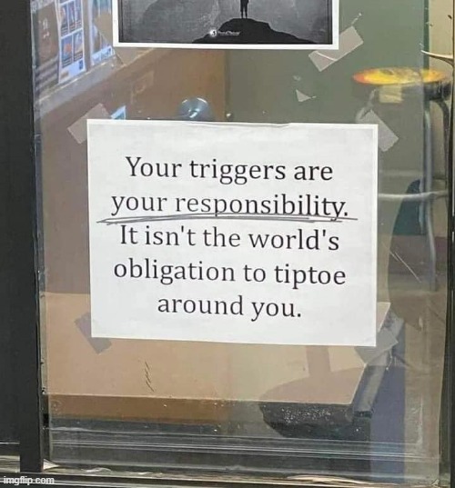 Your triggers | image tagged in your triggers | made w/ Imgflip meme maker