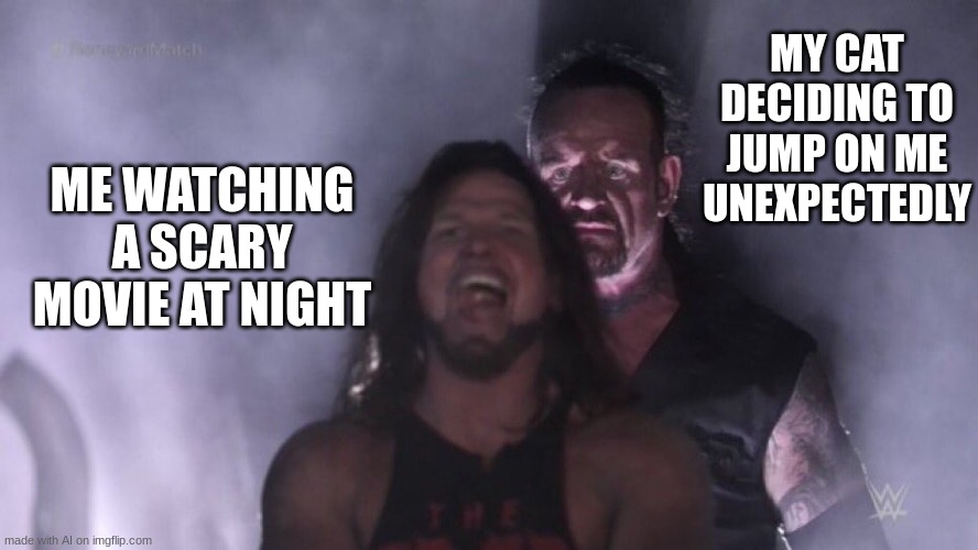 AJ Styles & Undertaker | MY CAT DECIDING TO JUMP ON ME UNEXPECTEDLY; ME WATCHING A SCARY MOVIE AT NIGHT | image tagged in aj styles undertaker | made w/ Imgflip meme maker