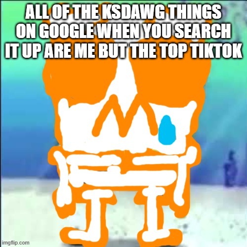 Bitch took my user | ALL OF THE KSDAWG THINGS ON GOOGLE WHEN YOU SEARCH IT UP ARE ME BUT THE TOP TIKTOK | image tagged in zad sponchgoob | made w/ Imgflip meme maker