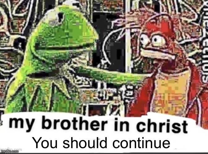 my brother in christ | You should continue | image tagged in my brother in christ | made w/ Imgflip meme maker