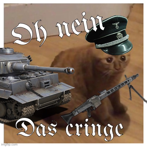 Idfk | Oh nein; Das cringe | image tagged in oh no cringe | made w/ Imgflip meme maker