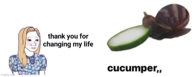 image tagged in thank you for changing my life,cucumper | made w/ Imgflip meme maker