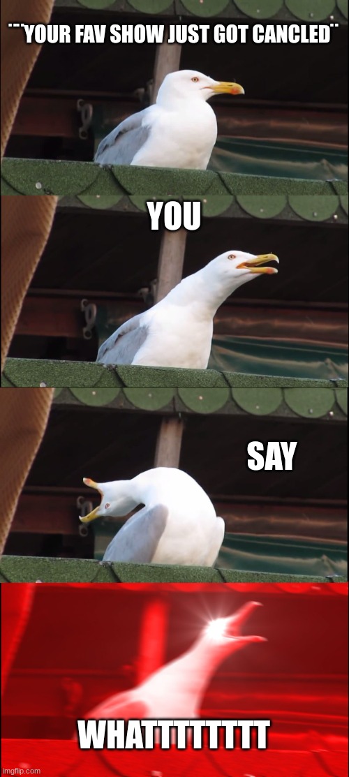 Inhaling Seagull | ¨¨YOUR FAV SHOW JUST GOT CANCLED¨; YOU; SAY; WHATTTTTTTT | image tagged in memes,inhaling seagull | made w/ Imgflip meme maker