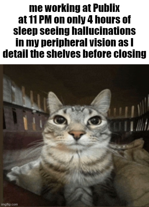 hopefully i don't see them again as I drive | me working at Publix at 11 PM on only 4 hours of sleep seeing hallucinations in my peripheral vision as I detail the shelves before closing | made w/ Imgflip meme maker