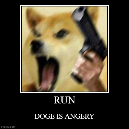 RUN | DOGE IS ANGERY | image tagged in funny,demotivationals | made w/ Imgflip demotivational maker