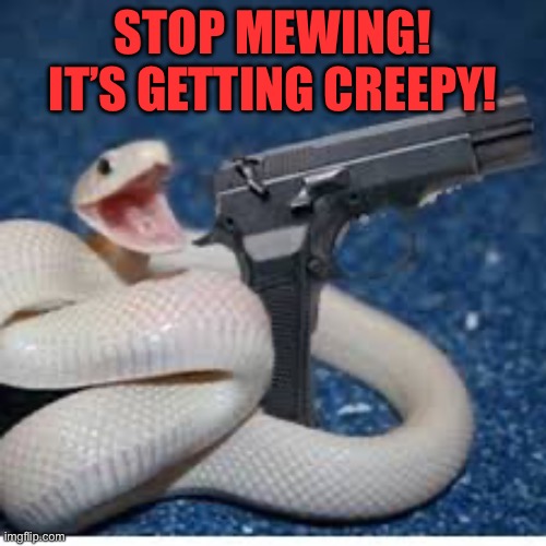 snake got gun | STOP MEWING! IT’S GETTING CREEPY! | image tagged in snake got gun | made w/ Imgflip meme maker