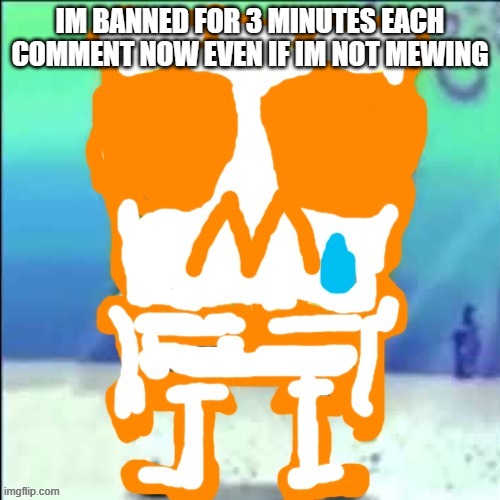 Zad SponchGoob | IM BANNED FOR 3 MINUTES EACH COMMENT NOW EVEN IF IM NOT MEWING | image tagged in zad sponchgoob | made w/ Imgflip meme maker