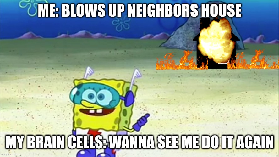 wanna see me do it again | ME: BLOWS UP NEIGHBORS HOUSE; MY BRAIN CELLS: WANNA SEE ME DO IT AGAIN | image tagged in spongebob wanna see me do it again | made w/ Imgflip meme maker
