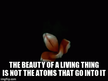 THE BEAUTY OF A LIVING THING IS NOT THE ATOMS THAT GO INTO IT | image tagged in gifs | made w/ Imgflip video-to-gif maker