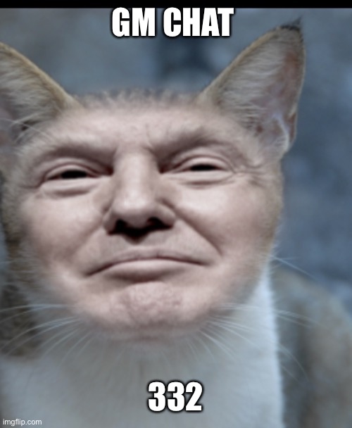 Donald trump cat | GM CHAT; 332 | image tagged in donald trump cat | made w/ Imgflip meme maker