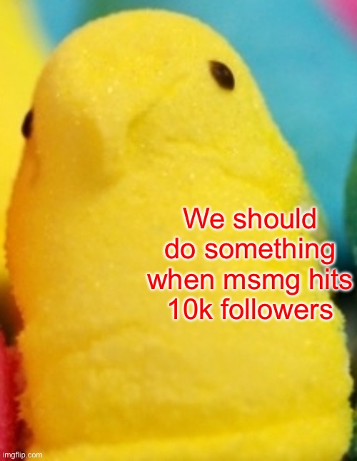 Majik Peeps | We should do something when msmg hits 10k followers | image tagged in majik peeps | made w/ Imgflip meme maker