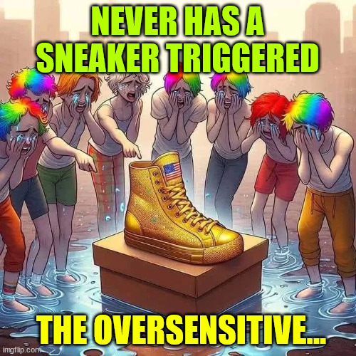 NEVER HAS A SNEAKER TRIGGERED THE OVERSENSITIVE... | made w/ Imgflip meme maker