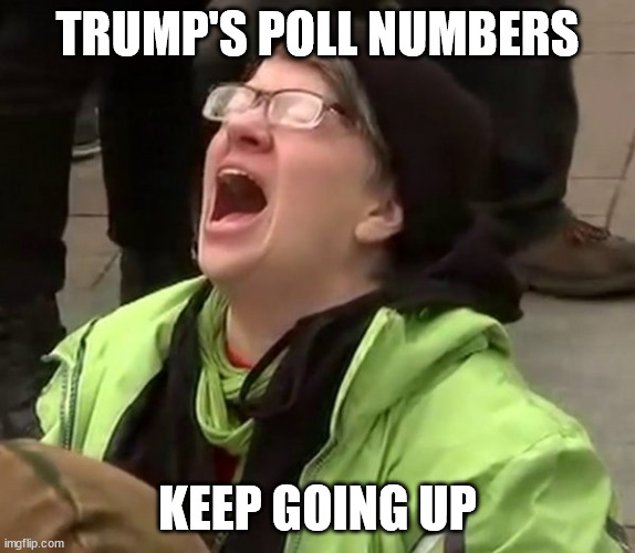 Crying Liberal | TRUMP'S POLL NUMBERS KEEP GOING UP | image tagged in crying liberal | made w/ Imgflip meme maker