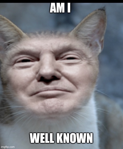 Donald trump cat | AM I; WELL KNOWN | image tagged in donald trump cat | made w/ Imgflip meme maker