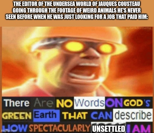 I'm not kidding, the guy was just an Asian-American looking for a job, and he ended up seeing some pretty wacky shit | THE EDITOR OF THE UNDERSEA WORLD OF JAUQUES COUSTEAU GOING THROUGH THE FOOTAGE OF WEIRD ANIMALS HE'S NEVER SEEN BEFORE WHEN HE WAS JUST LOOKING FOR A JOB THAT PAID HIM:; UNSETTLED | image tagged in there are no words on god's green earth,scuba diving | made w/ Imgflip meme maker