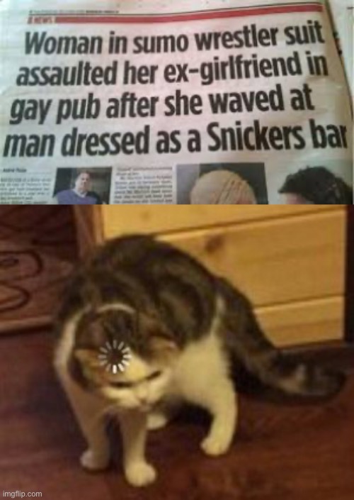 Stupid news chapter 8 | image tagged in loading cat,stupid news,you had one job | made w/ Imgflip meme maker