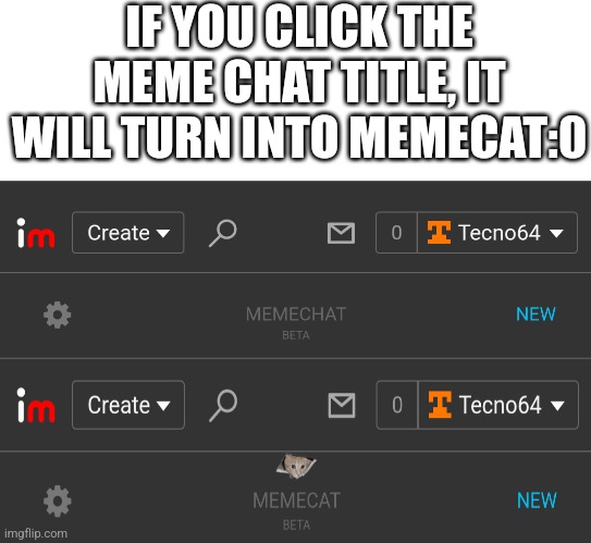 Am I the only who didn't know this? | IF YOU CLICK THE MEME CHAT TITLE, IT WILL TURN INTO MEMECAT:⁠0 | image tagged in cats,memecat,memes | made w/ Imgflip meme maker