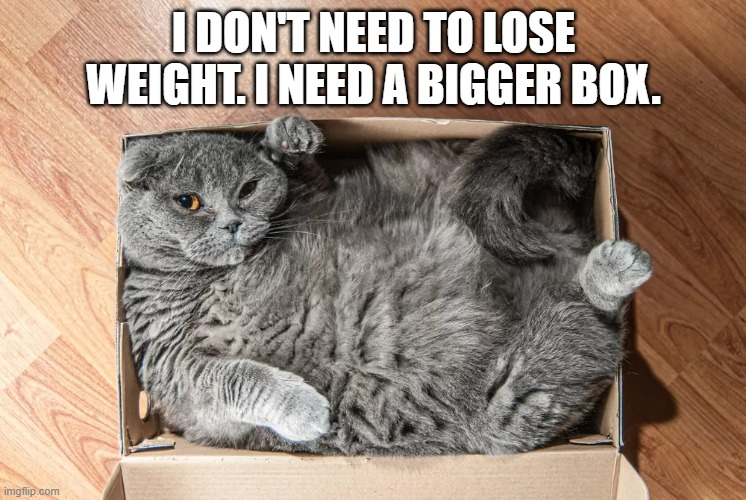 meme by Brad cat needs bigger box | I DON'T NEED TO LOSE WEIGHT. I NEED A BIGGER BOX. | image tagged in cats,funny,funny meme,humor,funny cat memes | made w/ Imgflip meme maker