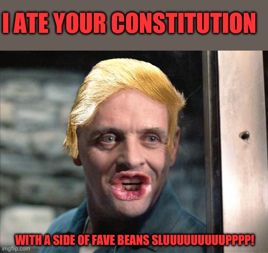 Hannibal Lecter | I ATE YOUR CONSTITUTION WITH A SIDE OF FAVE BEANS SLUUUUUUUUUPPPP! | image tagged in hannibal lecter | made w/ Imgflip meme maker