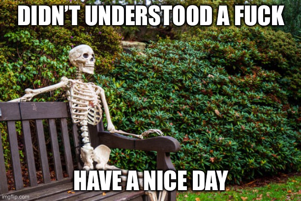waiting | DIDN’T UNDERSTOOD A FUCK HAVE A NICE DAY | image tagged in waiting | made w/ Imgflip meme maker