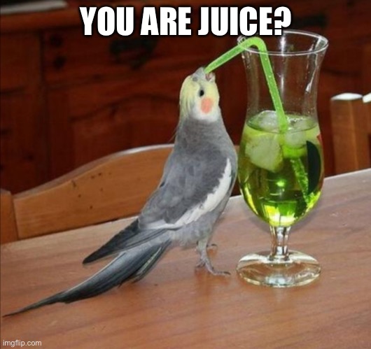 Bird drinking green juice | YOU ARE JUICE? | image tagged in bird drinking green juice | made w/ Imgflip meme maker